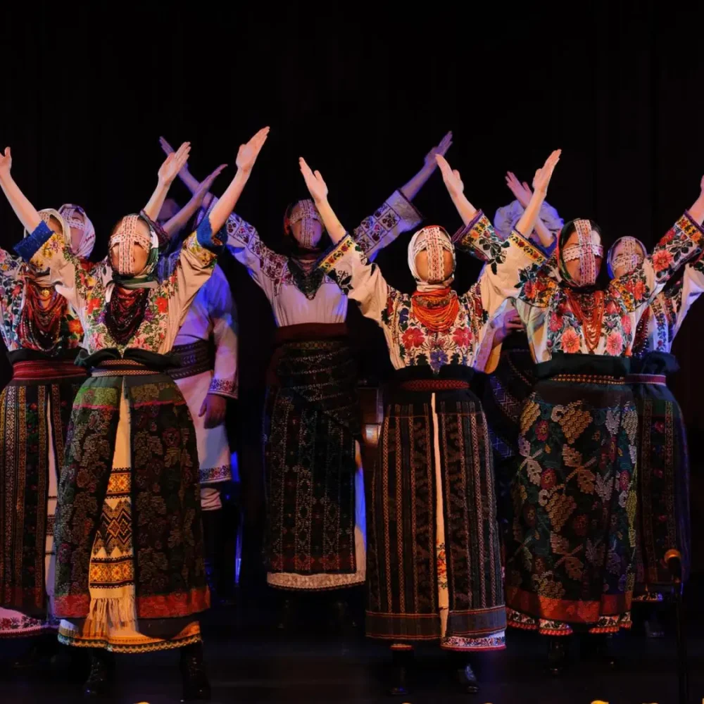 IMG_7382_2000x1125_cropped